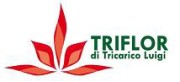 logo triflor2